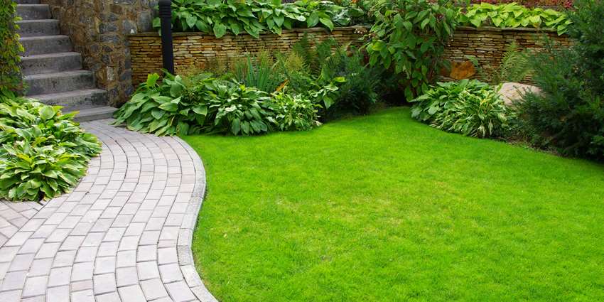 Healthy Lawns and Healthy Waters training set for Oct. 3 in Comfort