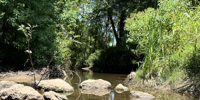 Davidson Creek