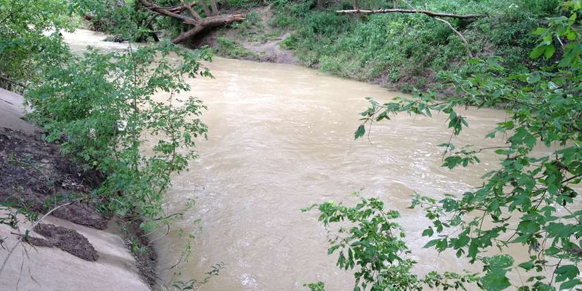 Riparian and stream ecosystem program workshop for Richland-Chambers Reservoir watershed set for Nov. 14