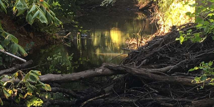 Thompsons Creek watershed protection meeting set for Nov. 11