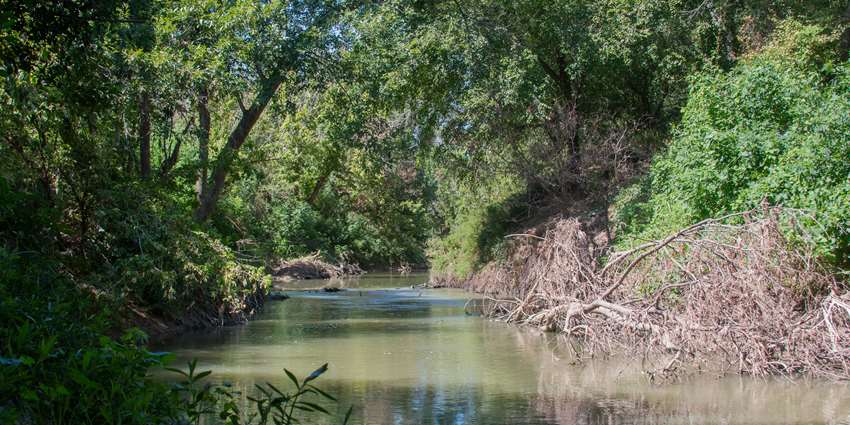 Riparian and stream ecosystem workshop set for Nov. 26 in Taylor