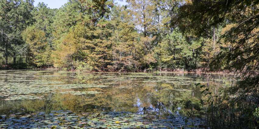 Research roundup: recent water research from TWRI and around Texas