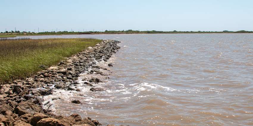Riparian and stream ecosystem workshop for Matagorda Bay watersheds set for Oct. 30