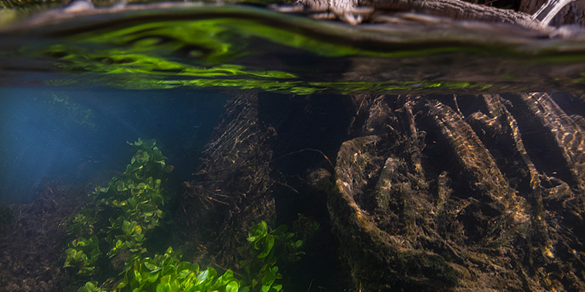 New article published in Texas Water Journal Volume 16