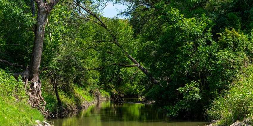 Riparian and stream ecosystem program workshop for Mill Creek watershed set for April 22