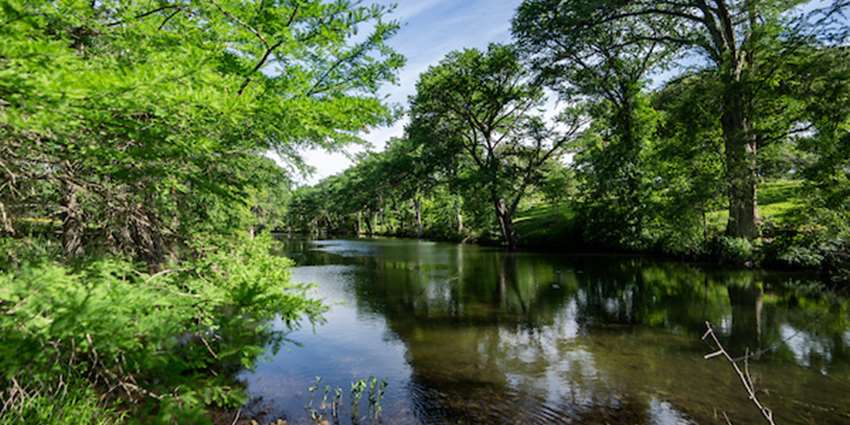 Texas Soil and Water Stewardship Week celebrates native ecosystems