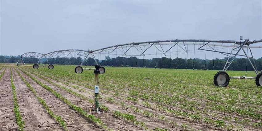 Smart irrigation sensor program helps farmers conserve water