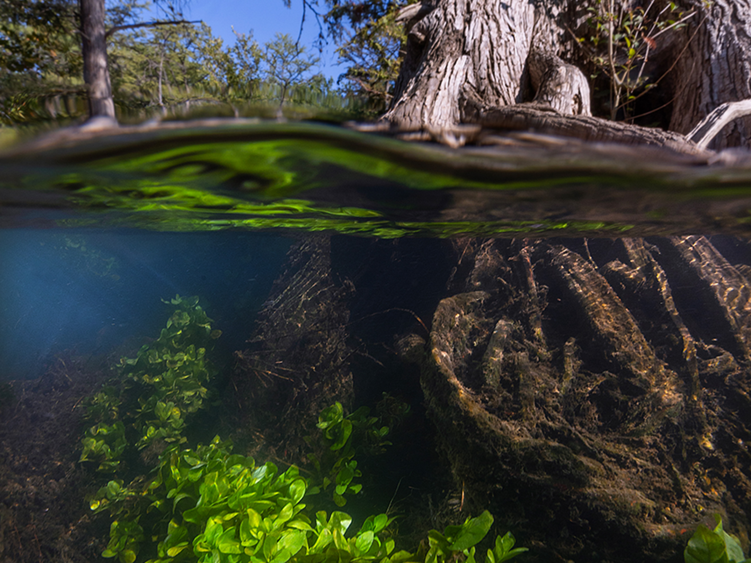 Texas Water Journal publishes commentary on 89th Texas State Legislature