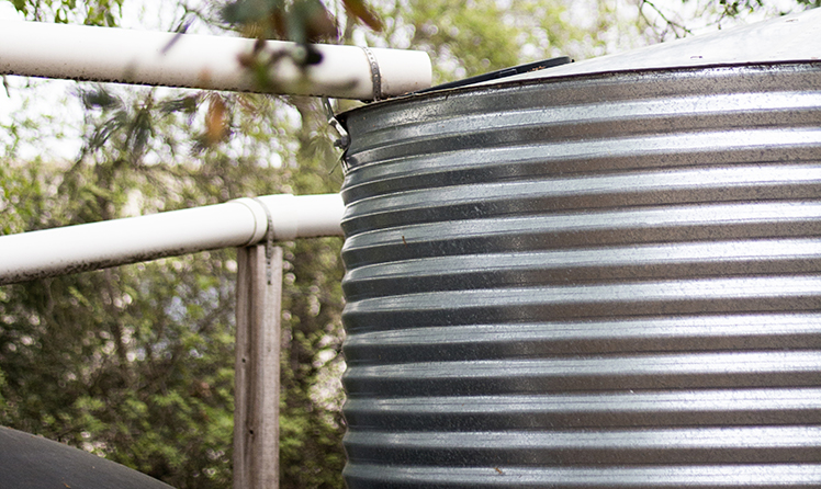 Rainwater harvesting and turf management training set for November 6 in Weslaco